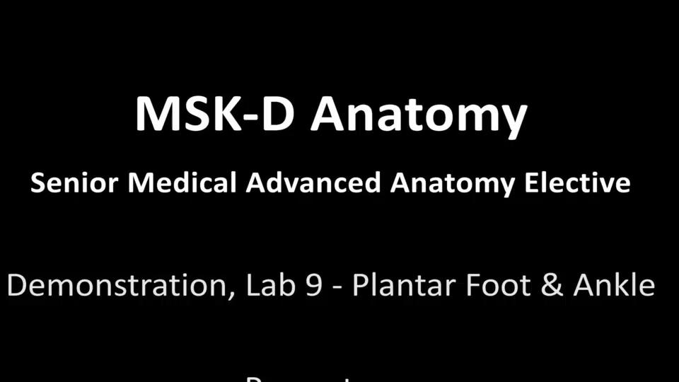 Plantar Foot & Ankle